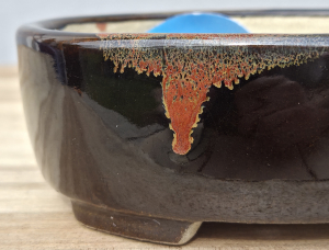 Tokoname Terahata Satomi 160mm × 130mm × 53mm